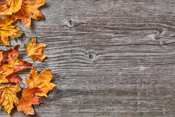 Yellow maple leafs on wood
