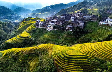 View of Longsheng Rice Terraces in the Guangxi Region, China