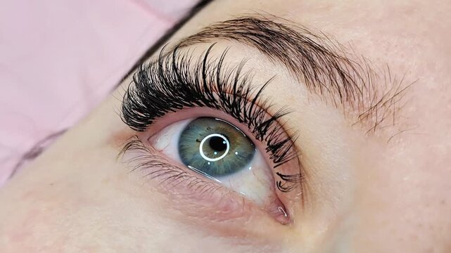 Close up of female eye with eyelash extensions ,eyelash extension procedure.2d volume, 3d volume, classical lashes,Russian volume,mega volume, new set.