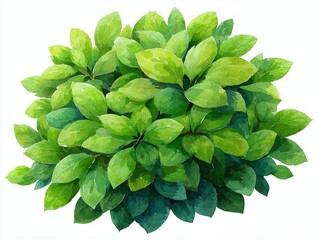 Watercolor style, Collection of decorative flat shrubs and panoramic view of garden shrubs and small trees