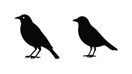 Obraz premium Two silhouette birds perched on white displaying their distinct shapes and forms in black