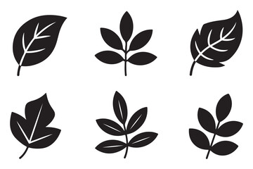 Obraz premium Set of different leaf silhouettes isolated on white background, simple botanical foliage icons collection 