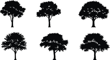 Set of black tree silhouettes isolated on white background, vector illustration showing different tree shapes, nature graphic design elements
