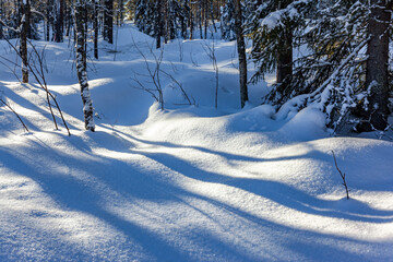 The kingdom of Santa Claus