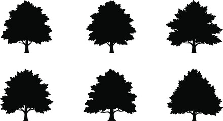 Collection of black tree silhouettes isolated on white background, vector illustration of forest elements for eco nature design and landscape art