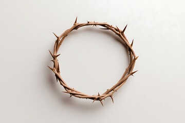Fototapeta premium A minimalistic photo captures a circular crown of thorns with sharp spikes, symbolizing suffering and sacrifice. The soft, neutral background enhances the crown's stark texture.