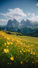 Beautiful view of mountain landscape with yellow wildflowers in spring nature scenery.