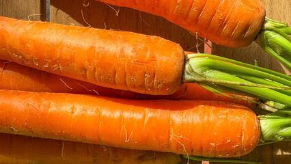 Golden afternoon sunlight kisses heirloom carrots, invoking autumnal harvest festivals, crunchy backyard bounty, and whimsical garden tales