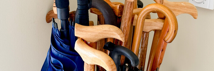 Waltzing parade of wooden walking sticks and umbrellas, quirky rainy day elegance, embracing...