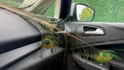 Peacock feathers whimsically adorn car dashboard, evoking Carnival's vibrant allure and spiritual...