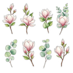 Elegant Watercolor Magnolia and Eucalyptus Botanical Illustration Collection.