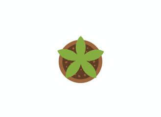Top-down view of a small plant pot