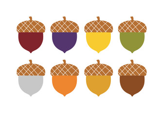 Acorns arranged on a white background, evoking autumn