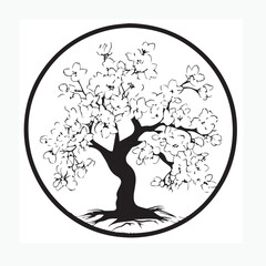 cherry blossom trees in a circle