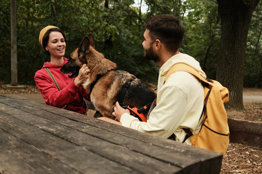 Smiling couple sitting at a wooden picnic table and petting their German Shepherd dog in the park. Concept of friendship, relaxation, and outdoor lifestyle - Powered by Adobe