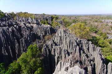 Tsingy de Bemaraha Strict Nature Reserve