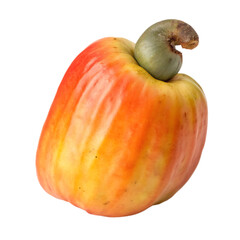 A whole cashew apple isolated on a transparent background
