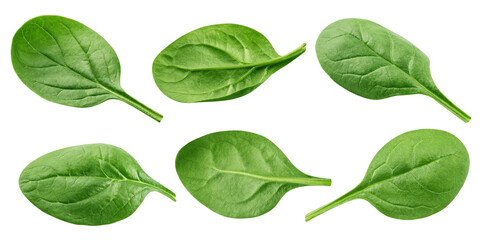 Spinach isolated, full depth of field