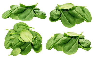 Spinach isolated, full depth of field