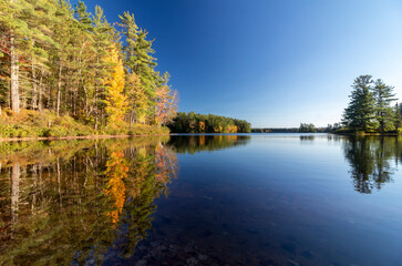 Fototapeta premium Brilliant fall foliage on a calm Autumn morning in the St. Regis Wilderness Canoe Area in the Adirondacks upstate NY