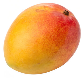 A whole tommy atkins mango isolated on a transparent background
