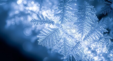 Close-up of a delicate, intricate snowflake with frost crystals in a cool blue light.