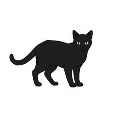 Black Cat