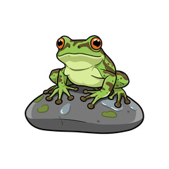 Muddy Frog on a Rock