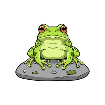 Frog Stanging on Rock