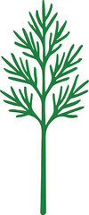 Obraz premium Green dill plant illustration herb food
