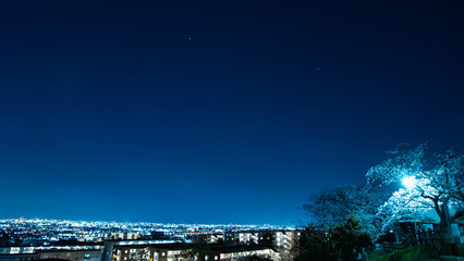 丘に咲く夜桜と街の灯