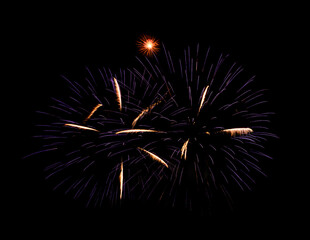 Purple firework sparkling on black background for celebration and anniversary