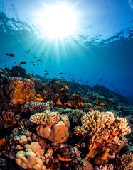 Underwater shot of coral reef, with fish swimming amidst the colorful formations. Sun rays stream through the water