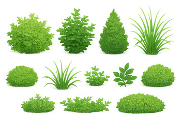Fototapeta premium Set of green garden plants, bushes, shrubs, and grass, creating natural landscaping elements on transparent background