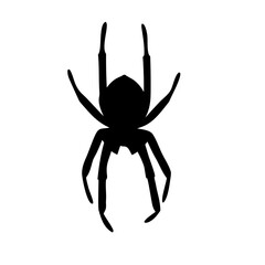 spider silhouette