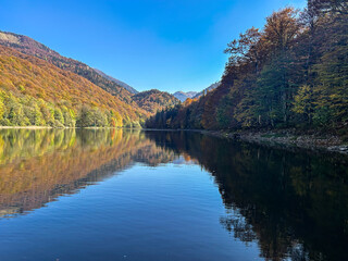 Biogradsko Lake in autumn, Biogradska Gora National Park, Montenegro.