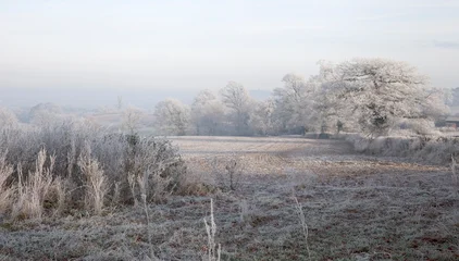Fototapete Grau Hoar frost, England  © Skipper Roland