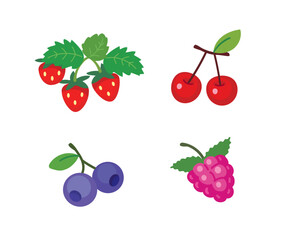 Vector cartoon images, illustration of berries - raspberry, strawberry, cherry, blueberry, blackberry isolated on a white background.