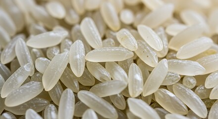 Close-up of white rice grains, showing texture and translucency, creating a soft-focus effect