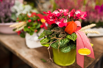 Preetz, A bright floral arrangement in a green pot with red and pink flowers, decorated with a gingham ribbon and autumn accents, placed on a rustic wooden table, radiating warmth and seasonal charm.
