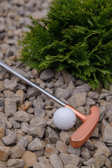 golf mallet on the green, artificial turf