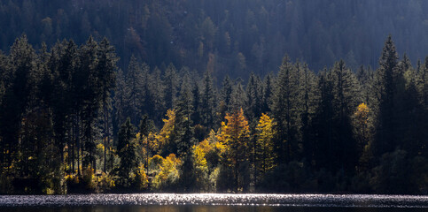 Idyllic lake Oedensee in Bad Mitterndorf, Styria, Austria