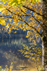 Idyllic lake Oedensee in Bad Mitterndorf, Styria, Austria
