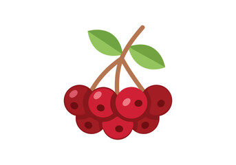 Flat Illustration Juicy Cherries Fruit Red Color Sweet Berry Food