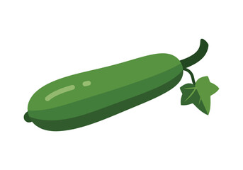 Flat Lay Fresh Zucchini Healthy Eating Simple Ingredient Vegetable Illustration