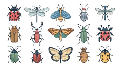 Colorful collection of bugs, butterflies, and moths on a white background. Animal world concept