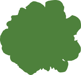 Vibrant green lettuce head isolated on black background vegetable food