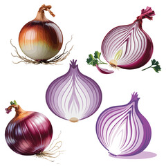Fresh red and yellow onions various stages of preparation and whole for culinary use