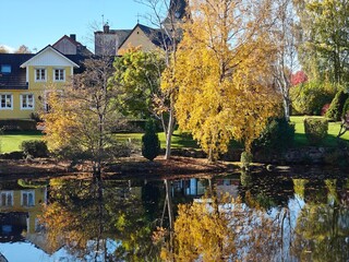 Fototapeta premium Beautiful autumn landscape with colorful trees and warm fall atmosphere.