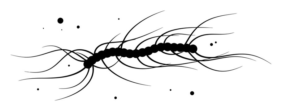 Abstract Bacterial Flagella Whip Vector - Microscopic Propulsion, Scientific Movement
